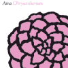 AINA chrysanthemum AINA chrysanthemum