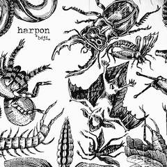 Harpon Béji – LP Rejuvenation/Kaos Kontrol/Poutrage/Tandori/Whosbrain 2017 Harpon Béji – LP Rejuvenation/Kaos Kontrol/Poutrage/Tandori/Whosbrain 2017