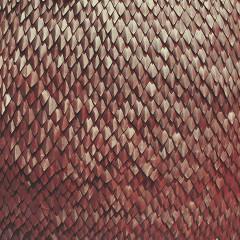 kill-vultures-carnelian-totally-gross-national-product-2015# kill-vultures-carnelian-totally-gross-national-product-2015#
